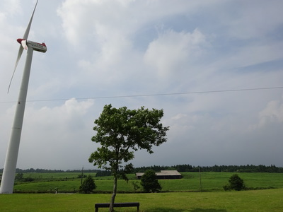 DSC00607.JPG